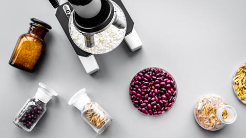 Alimentos OGM